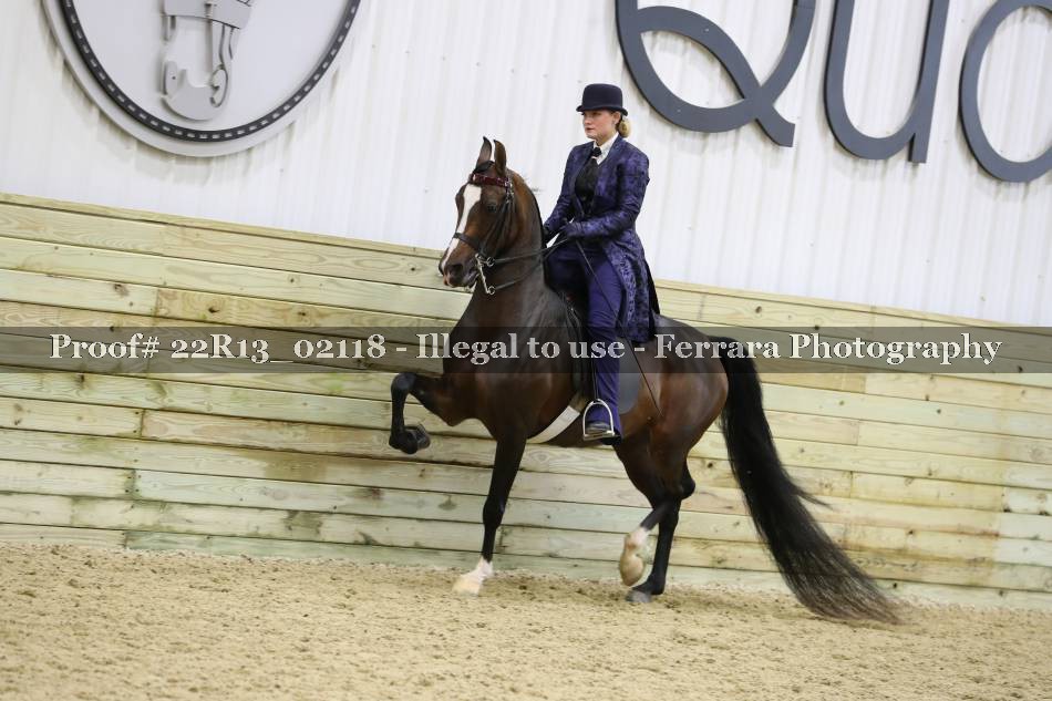 Proof 22R13_02118