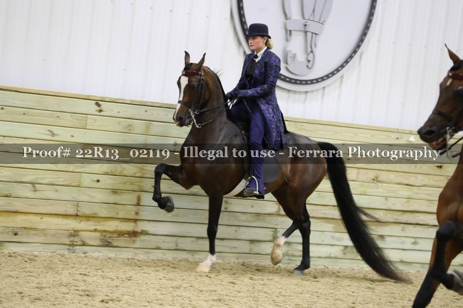 Proof 22R13_02119