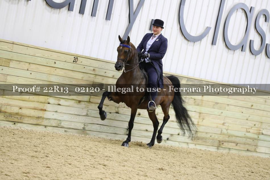 Proof 22R13_02120