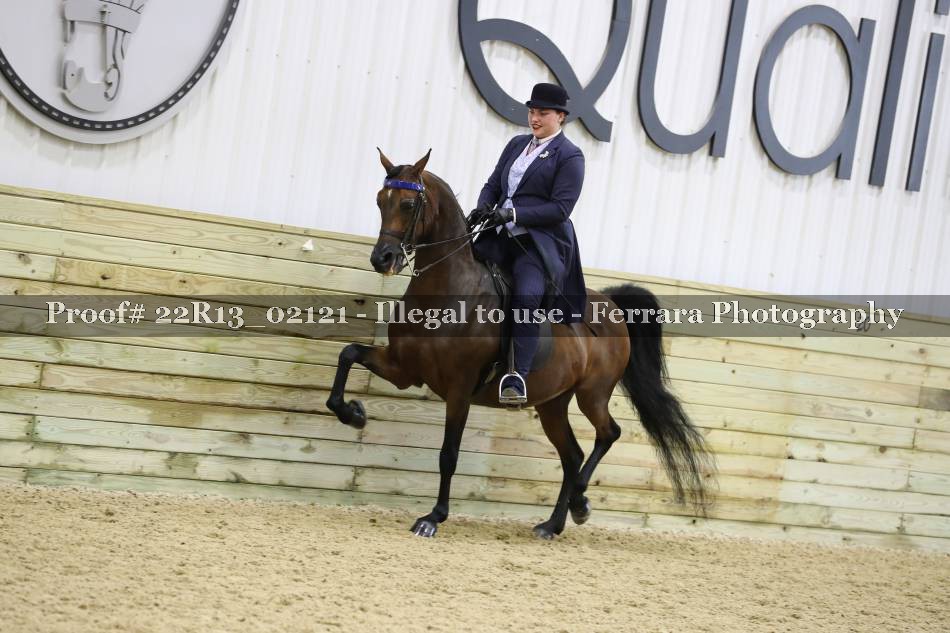 Proof 22R13_02121