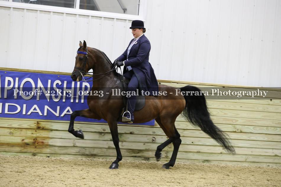 Proof 22R13_02123