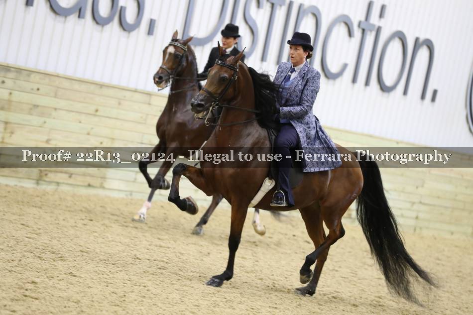 Proof 22R13_02124