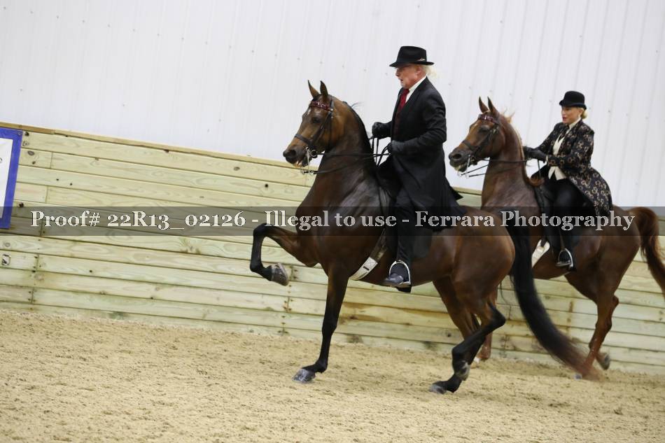 Proof 22R13_02126