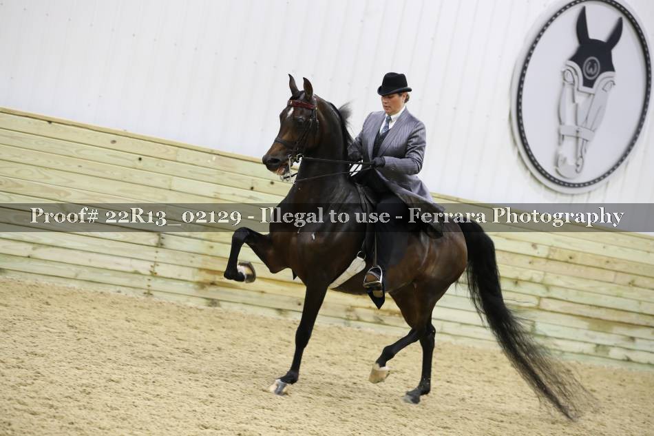 Proof 22R13_02129