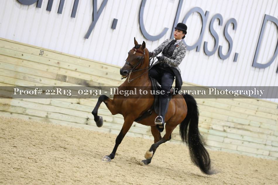 Proof 22R13_02131