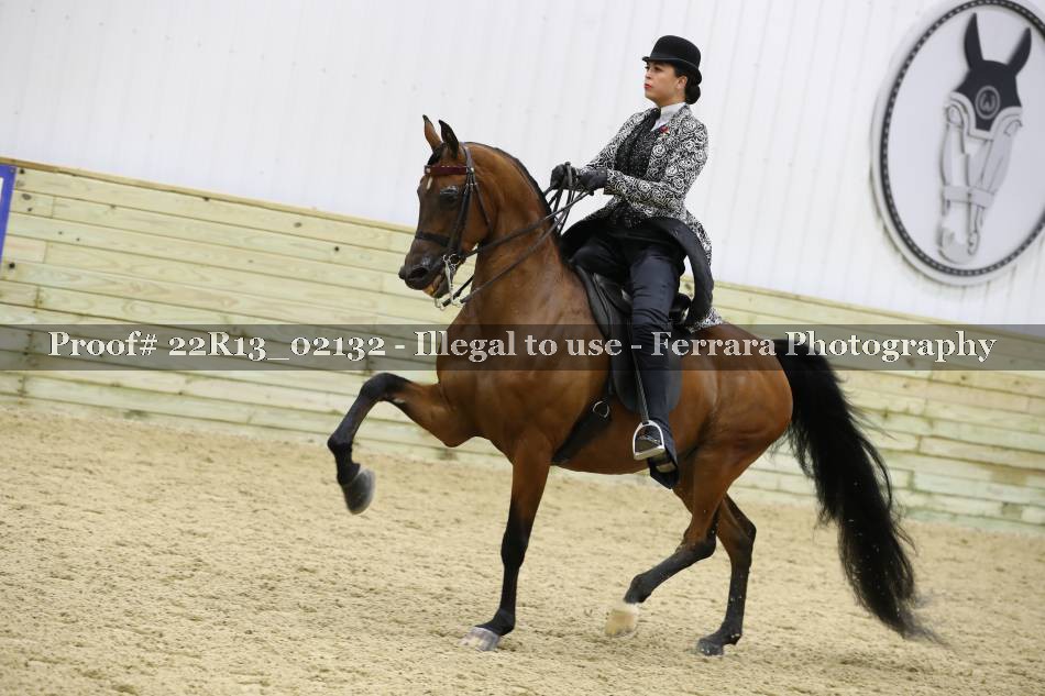 Proof 22R13_02132