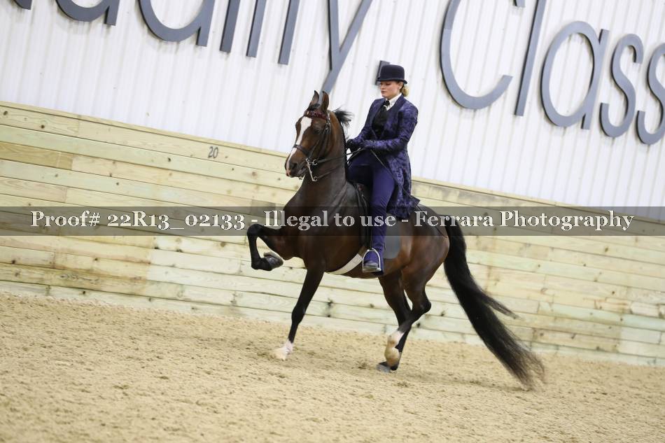 Proof 22R13_02133