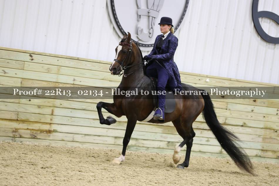 Proof 22R13_02134