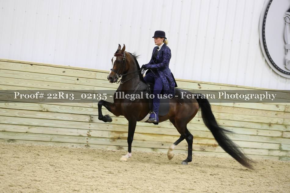 Proof 22R13_02135