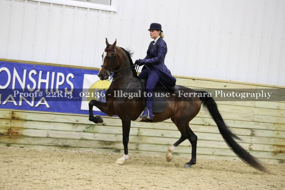 Proof 22R13_02136
