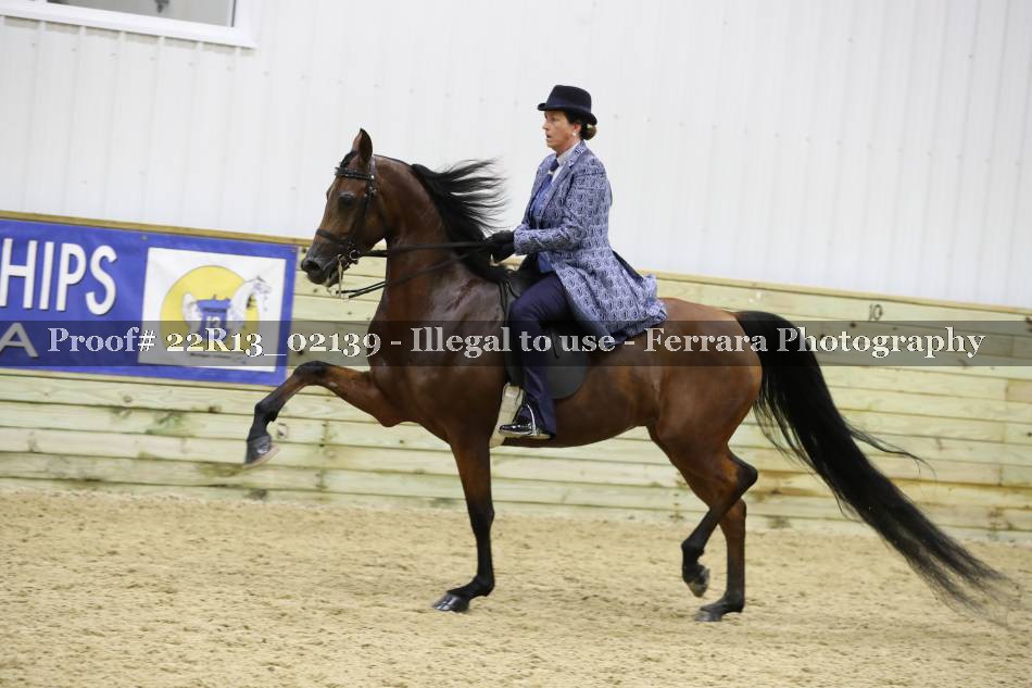 Proof 22R13_02139