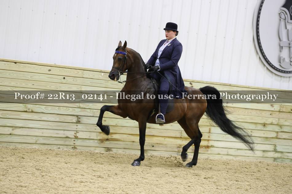 Proof 22R13_02141