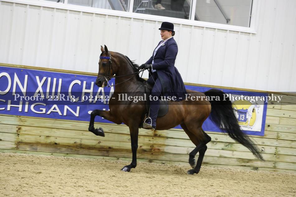 Proof 22R13_02142