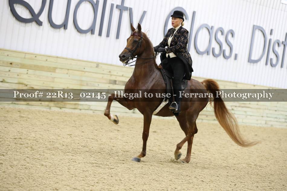 Proof 22R13_02145