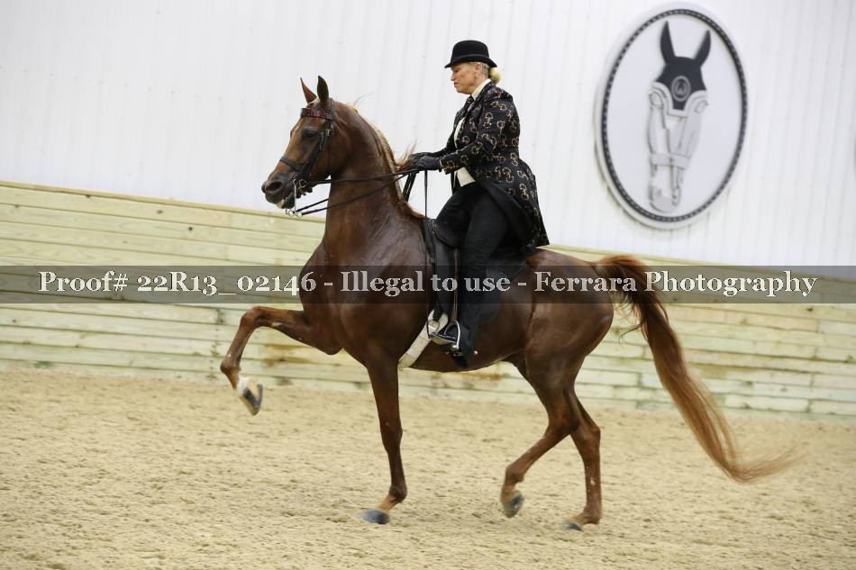 Proof 22R13_02146
