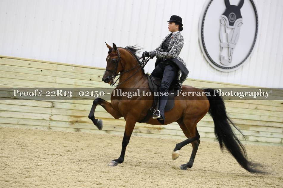 Proof 22R13_02150