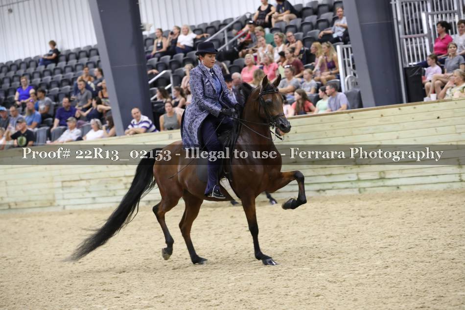 Proof 22R13_02153