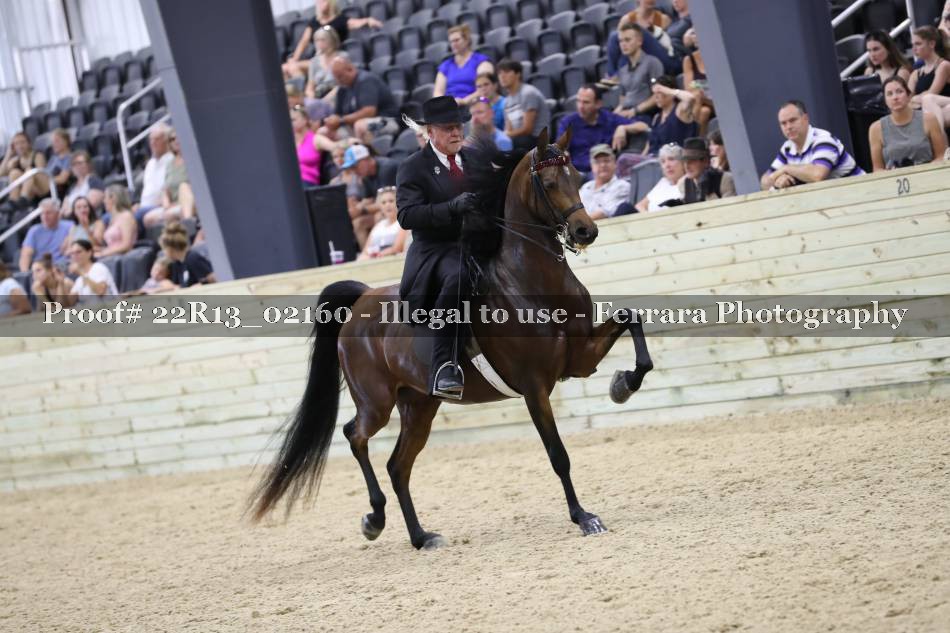 Proof 22R13_02160