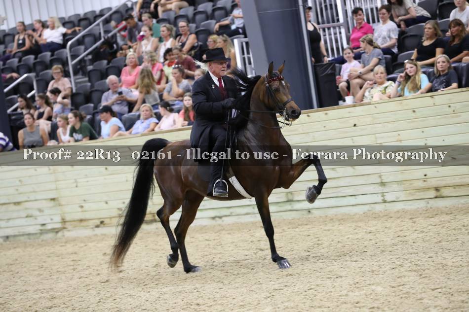 Proof 22R13_02161