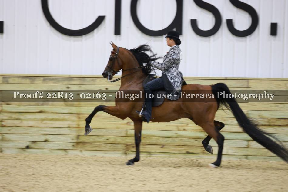 Proof 22R13_02163