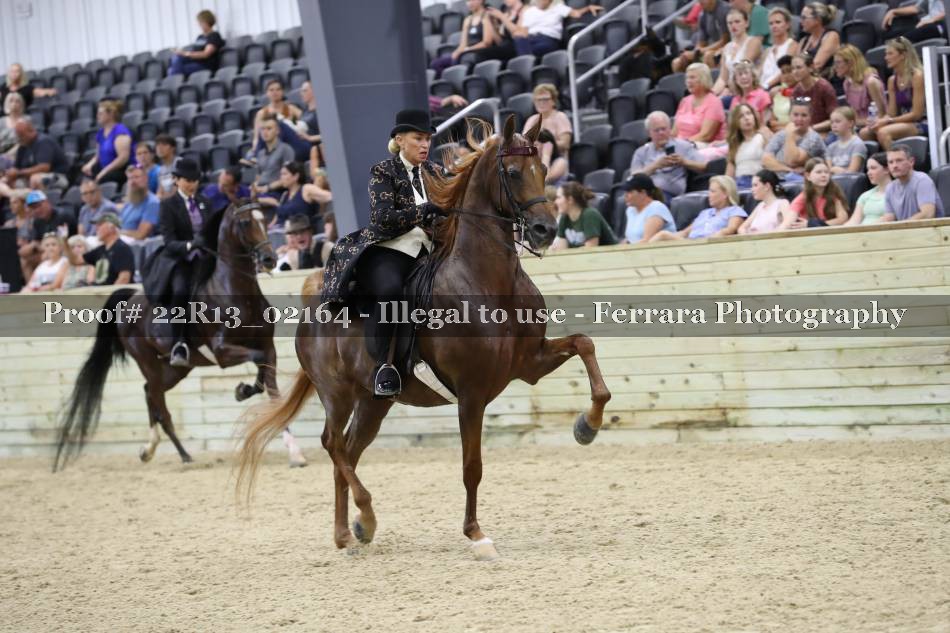 Proof 22R13_02164