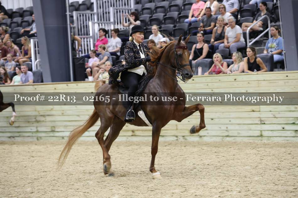 Proof 22R13_02165