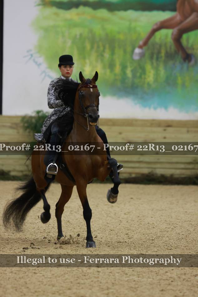 Proof 22R13_02167