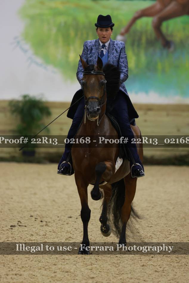 Proof 22R13_02168