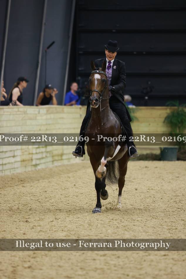 Proof 22R13_02169