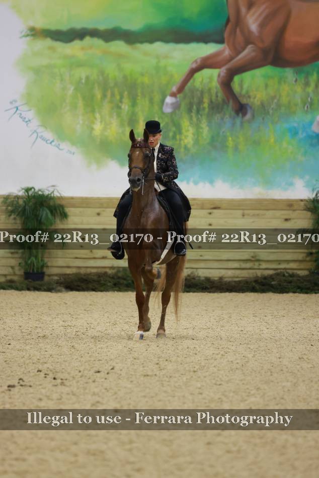 Proof 22R13_02170