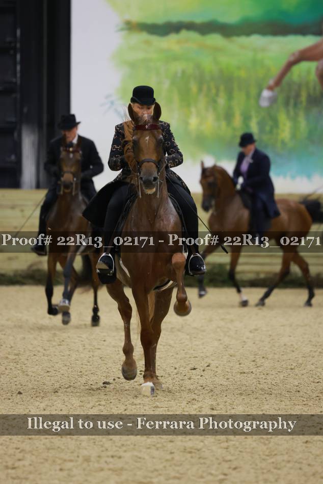 Proof 22R13_02171