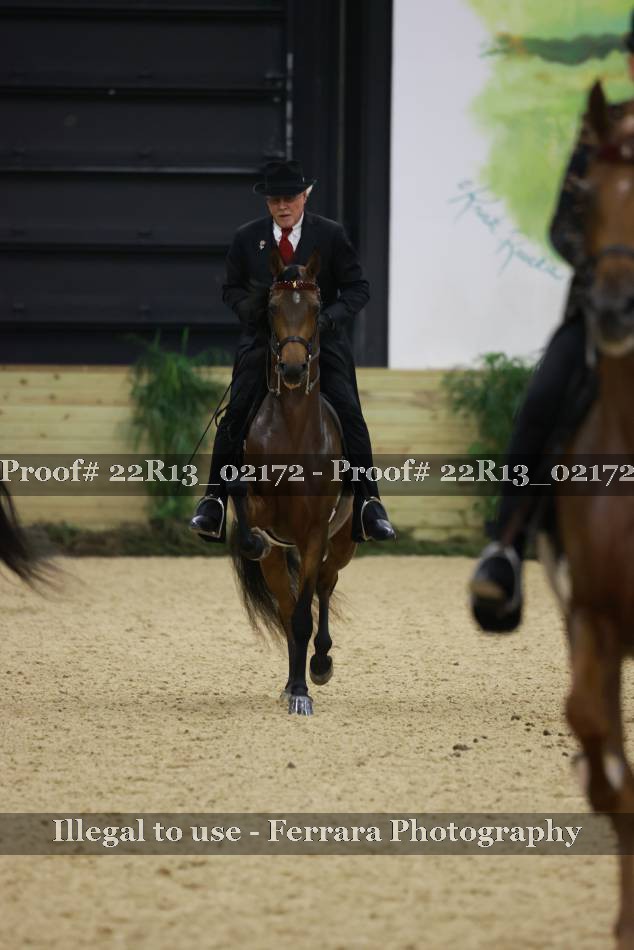 Proof 22R13_02172