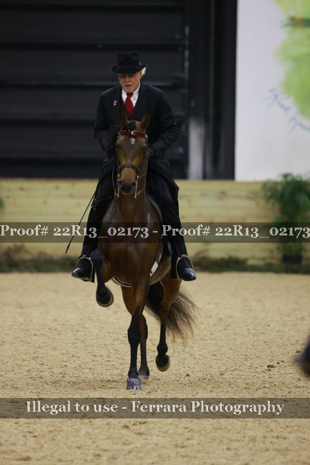 Proof 22R13_02173