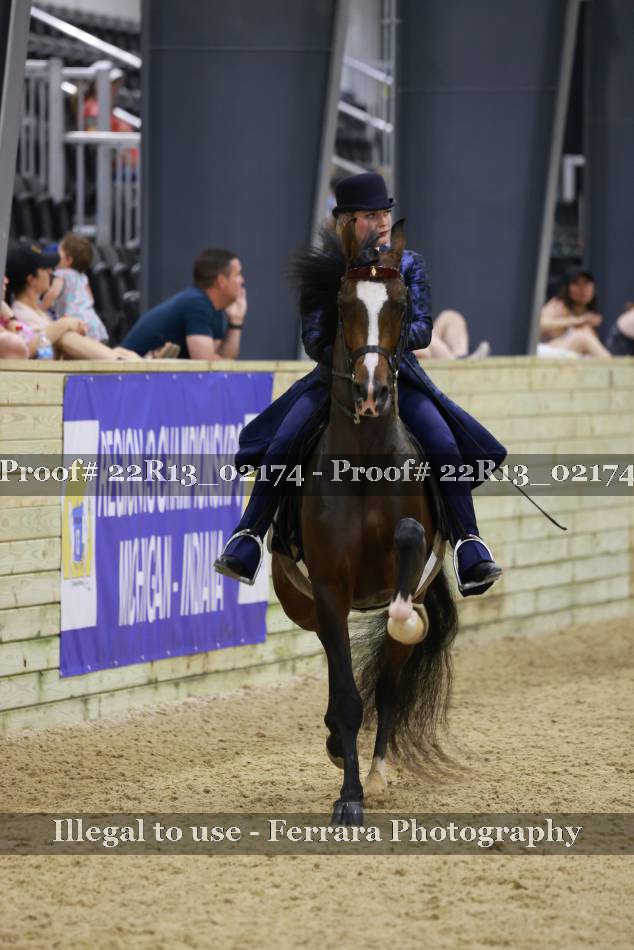 Proof 22R13_02174