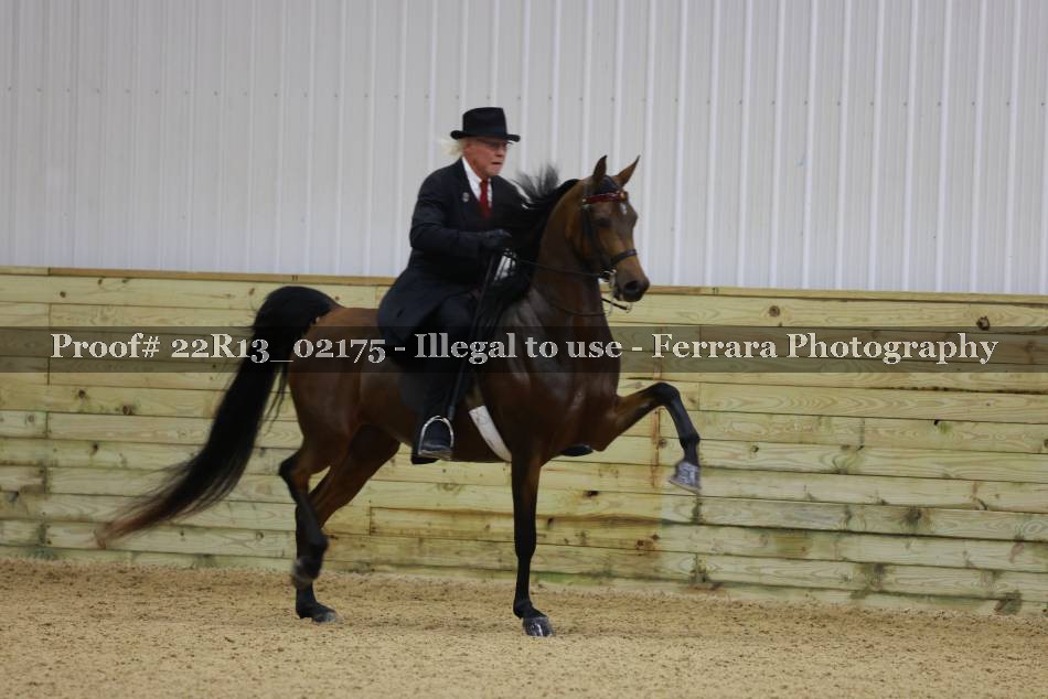 Proof 22R13_02175