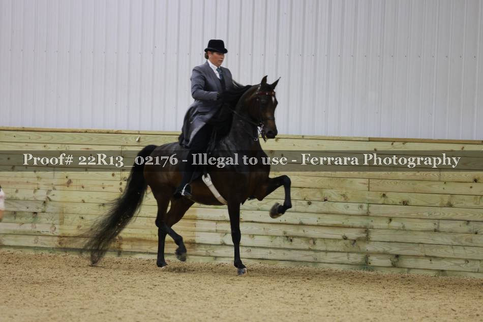 Proof 22R13_02176