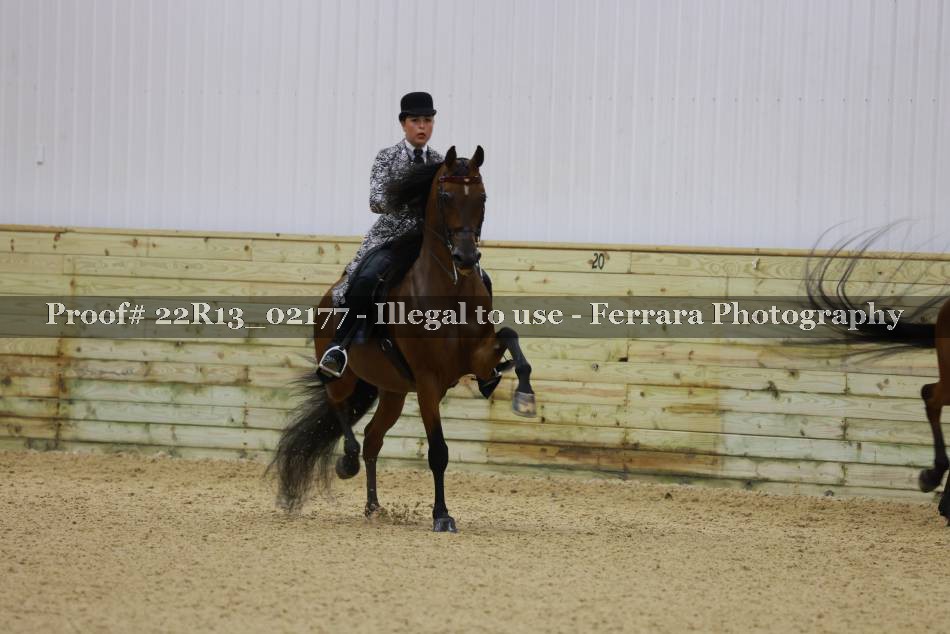 Proof 22R13_02177