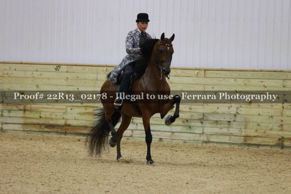 Proof 22R13_02178
