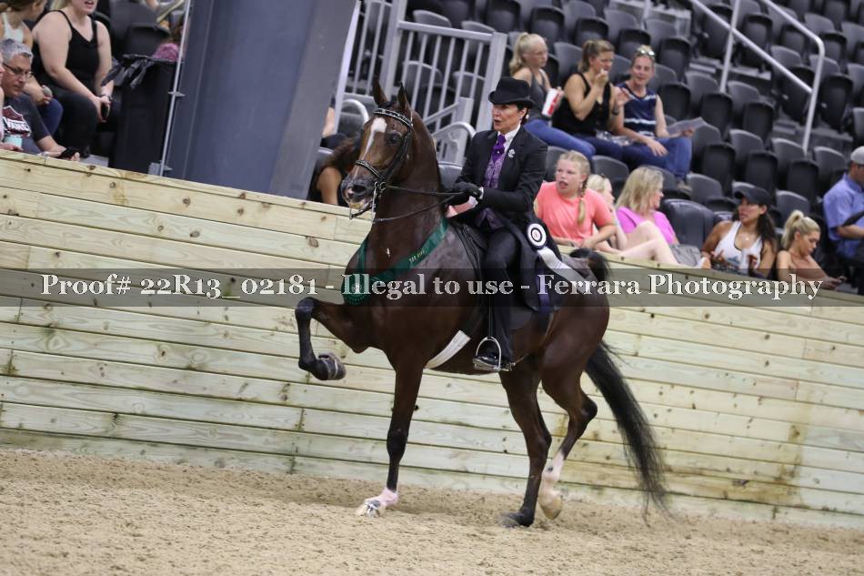 Proof 22R13_02181