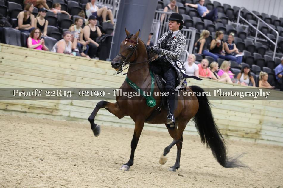 Proof 22R13_02190