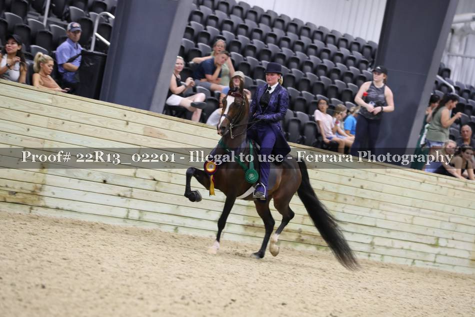 Proof 22R13_02201