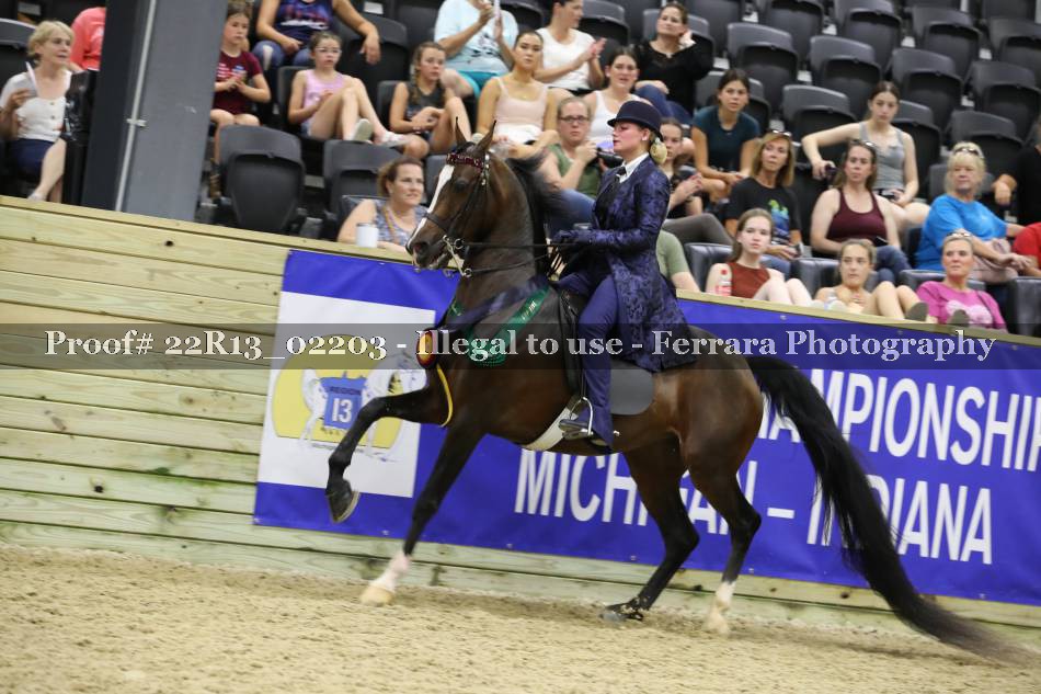 Proof 22R13_02203