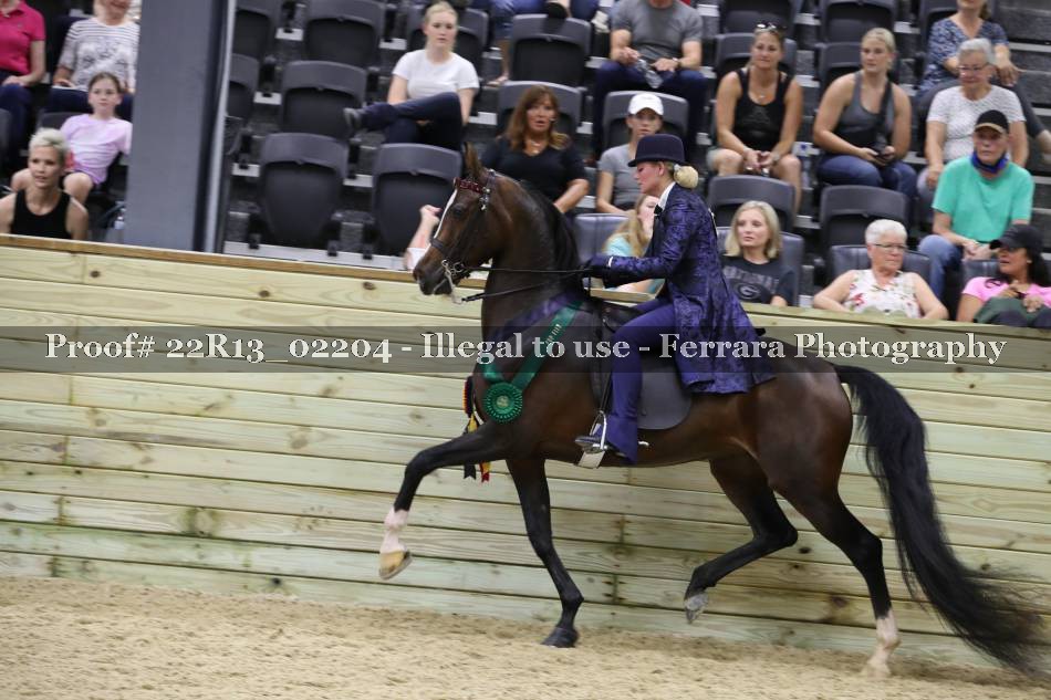 Proof 22R13_02204