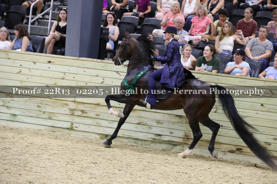Proof 22R13_02205