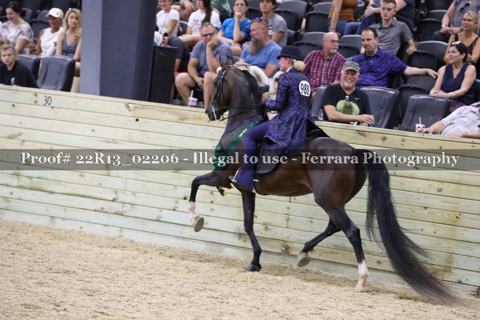 Proof 22R13_02206