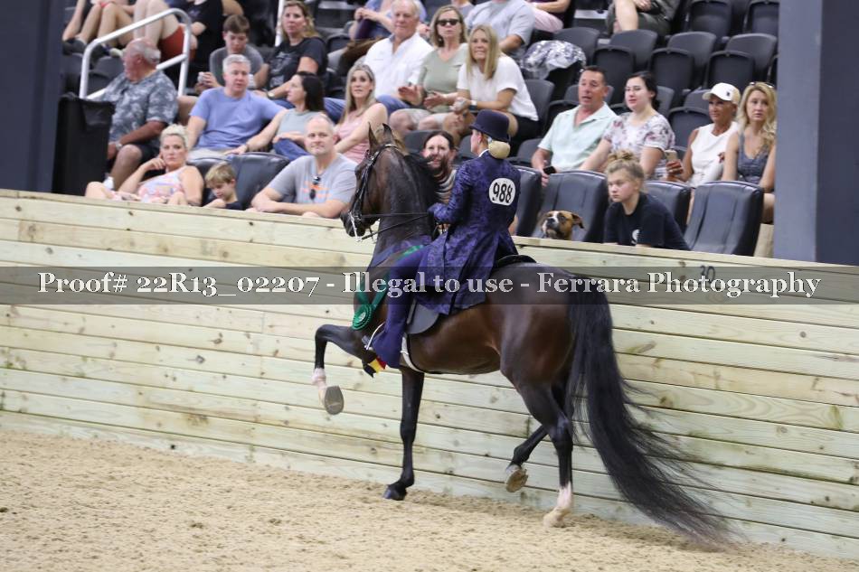Proof 22R13_02207