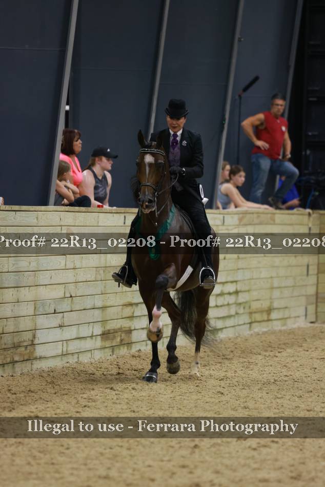 Proof 22R13_02208