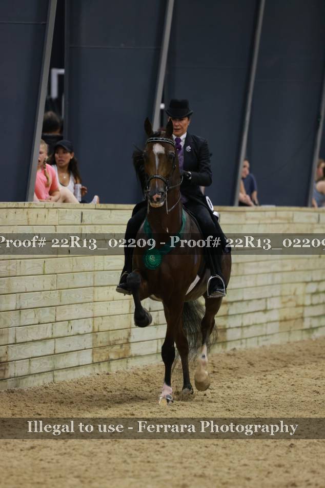 Proof 22R13_02209