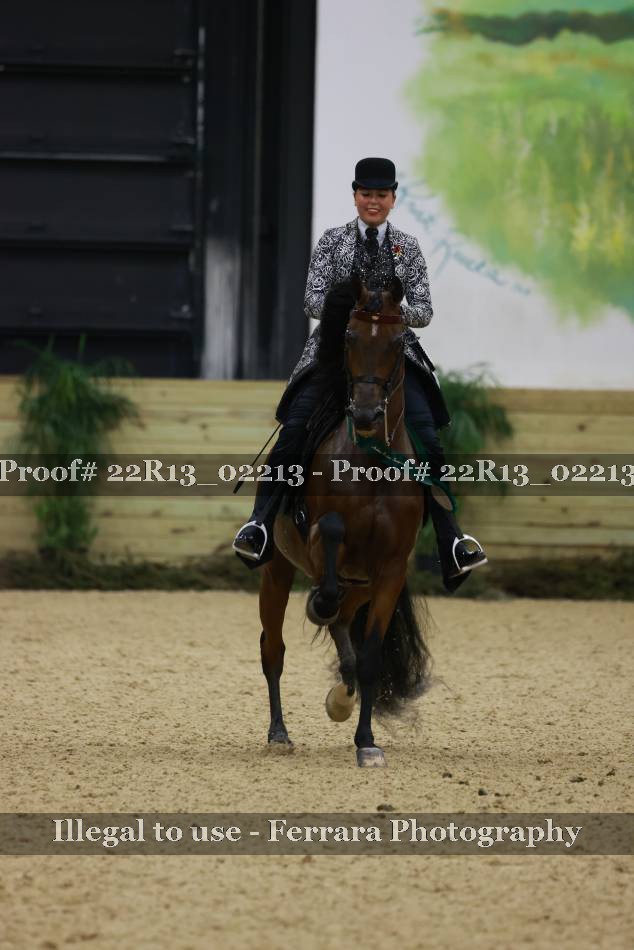 Proof 22R13_02213