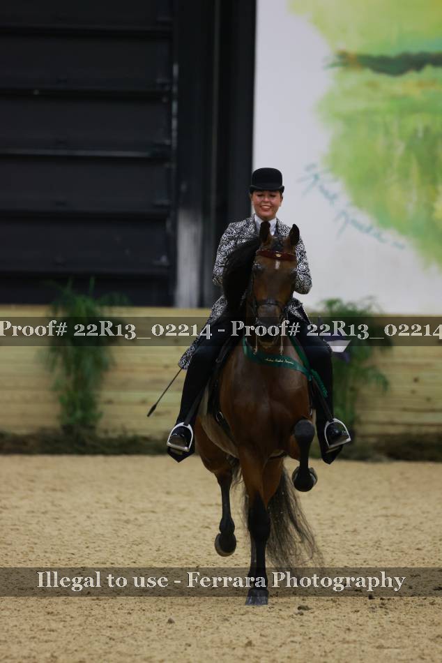 Proof 22R13_02214